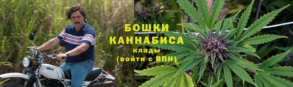 первитин Алексин
